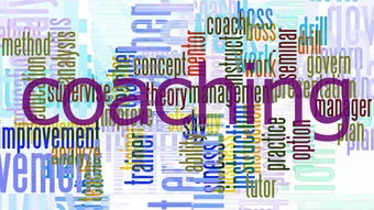 开云体育官方网入口-意甲球迷忠诚计划对比赛日收入改善的作用,意甲忠诚球员