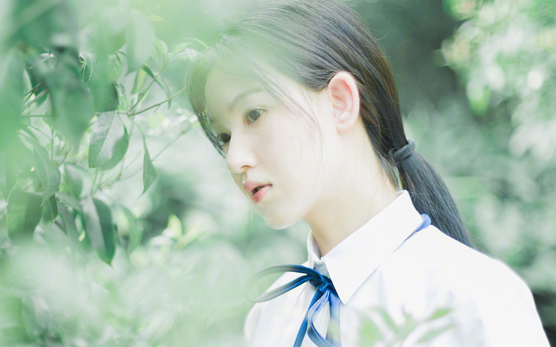 开云网页版-全国男子橄榄球联赛广东队三连冠，男子橄榄球视频精彩视频